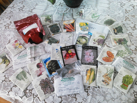 Are Older Seeds Still Good?