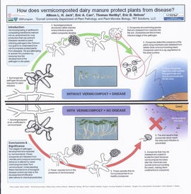How Does Vermicomposted Dairy Manure Protect Plants From Disease is now posted on Devine Gardens website