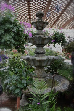 Looking for Spring? Carol Watson Greenhouse