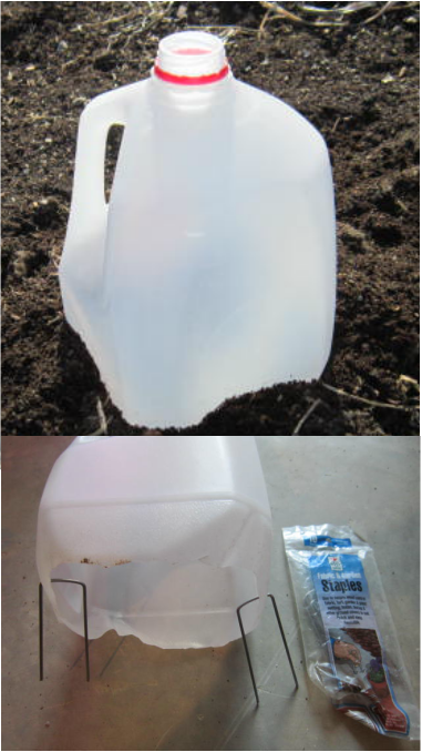 El Cheap-O Greenhouse