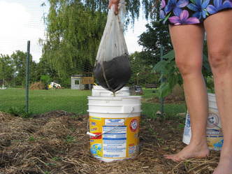Your plants would like some Devine Gardens vermiocompost tea