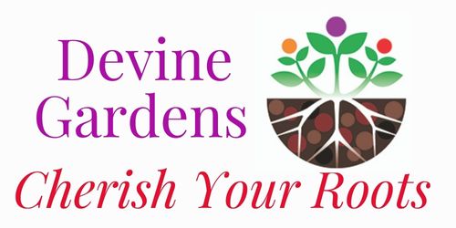 Devine Gardens Cherish Your Roots logo and slogan We sell worm castings and beef .jpeg