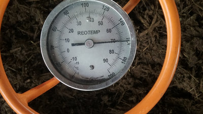 Loving those compost temperatures