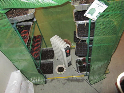 Use Devine Gardens vermicompost in your seed starting soil