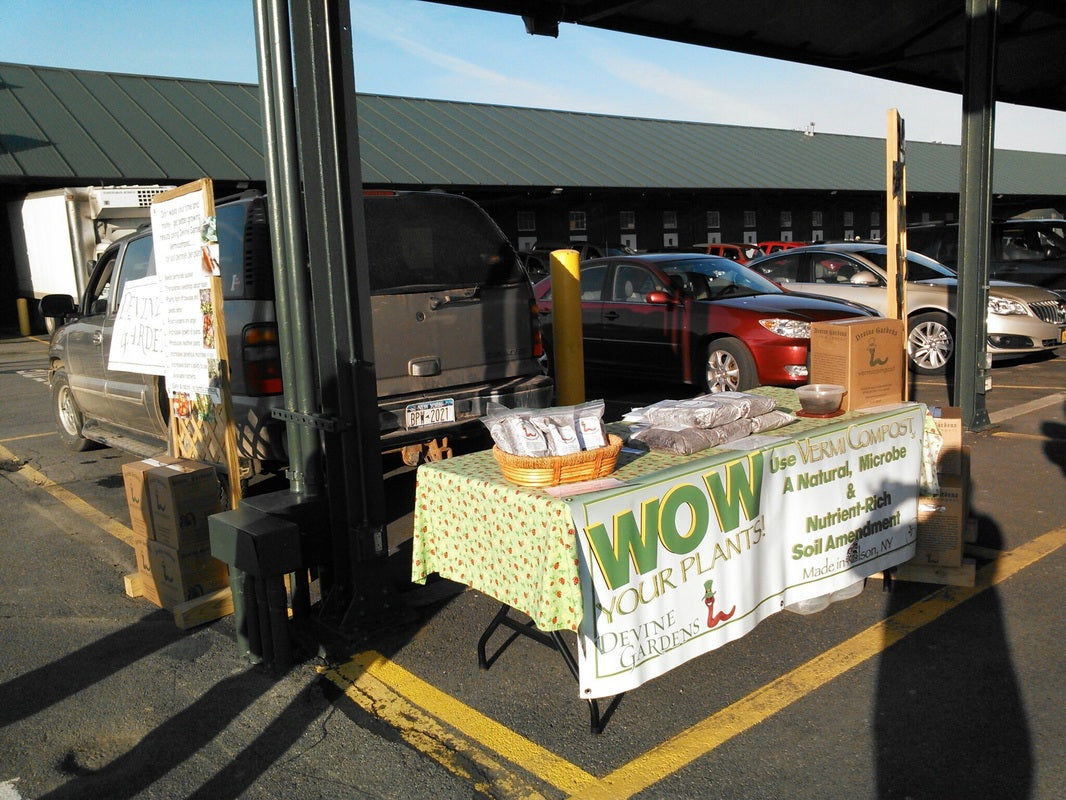 The Sun Is Shining At The Regional Market